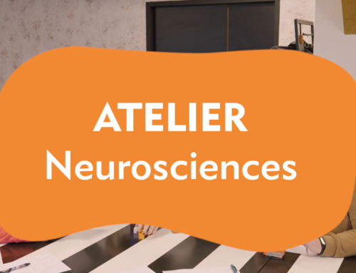 Atelier Neurosciences